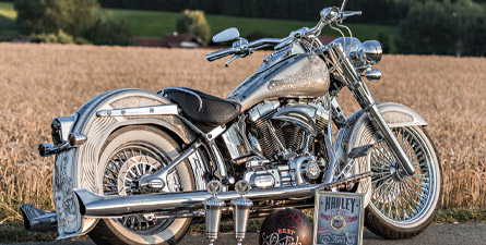 The rise of the mexican - Harley-Davidson Softail Deluxe 2014