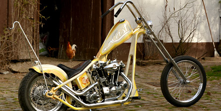 Cash Harley-Davidson Ironhead Sportster